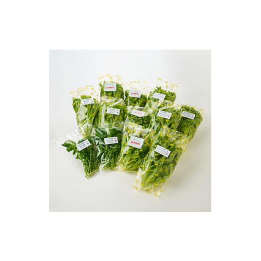 ふるさと納税 野菜類 兵庫県 太子町 毎月定期便 G Line brio レタス12パックセット全2回 4056842_2