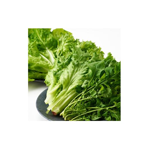 ふるさと納税 野菜類 兵庫県 太子町 毎月定期便 G Line brio レタス12パックセット全2回 4056842_3