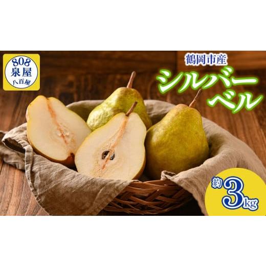 ふるさと納税 梨 山形県 鶴岡市 令和8年産先行予約 鶴岡市産 シルバーベル(洋梨) 約3kg K-819 泉屋商店
