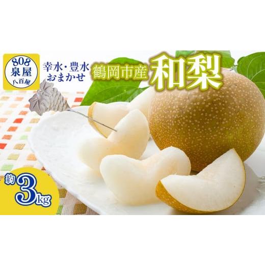 ふるさと納税 梨 山形県 鶴岡市 令和8年産先行予約 鶴岡市産 和梨(品種おまかせ)幸水・豊水のどちらか1種 約3kg K-823 泉屋商店