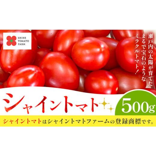 ふるさと納税 トマト ミニトマト 岡山県 笠岡市 先行予約 シャイントマト 500g シャイントマトファーム[1月中旬-6月中旬頃出荷]岡山県 笠岡市 送料無料 ト…