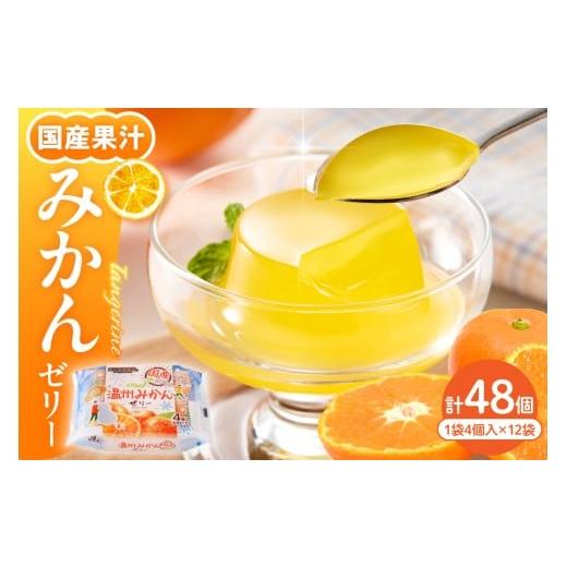 ふるさと納税 菓子 ゼリー 山形県 東根市 国産温州みかんゼリー1袋4個入×12袋 和歌山産業提供 山形県 東根市 hi070-005