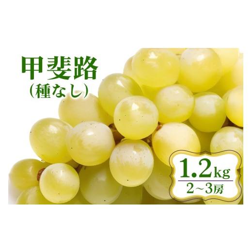 ふるさと納税 果物類 ぶどう 茨城県 石岡市 2026年 先行予約 甲斐路 ( 種なし ) 1.2kg 開田ぶどう園 2房 〜 3房 ぶどう ブドウ 国産 果物 くだもの 葡萄 フル…