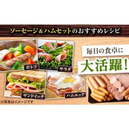 ふるさと納税 肉 ソーセージ 長崎県 大村市 12回定期便 ナルちゃんファーム ハムセット1.05kg sp ／ ウインナー ハム 食べ比べ 詰め合わせ ／ 大村市 ／ おお…_4