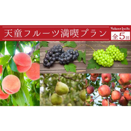 ふるさと納税 もも 山形県 天童市 08-06-031　天童フルーツ満喫プラン(定期便)全5回_1