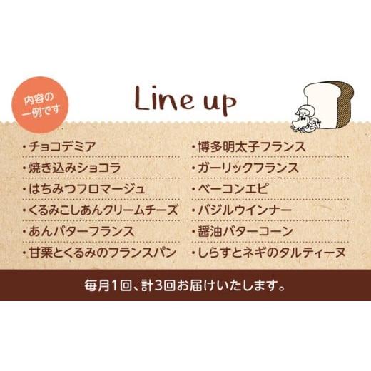 ふるさと納税 米・パン 総菜パン 岐阜県 土岐市 3回定期便 ハード系パン お楽しみバラエティーセット 10〜13点 パンの店 カッタン パン 食パン 大人気 MEJ014…_3