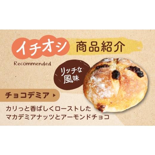 ふるさと納税 米・パン 総菜パン 岐阜県 土岐市 3回定期便 ハード系パン お楽しみバラエティーセット 10〜13点 パンの店 カッタン パン 食パン 大人気 MEJ014…_4