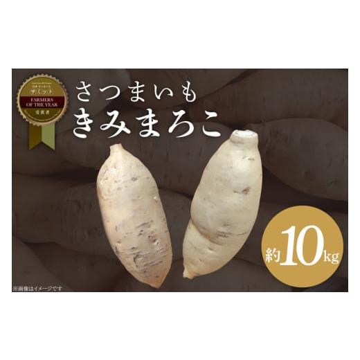ふるさと納税 野菜類 サツマイモ 茨城県 行方市 2025年11月より順次発送 2025年度産 さつまいも きみまろこ 約10kg|さつまいも 芋 お芋 きみまろこ 渋谷農園…