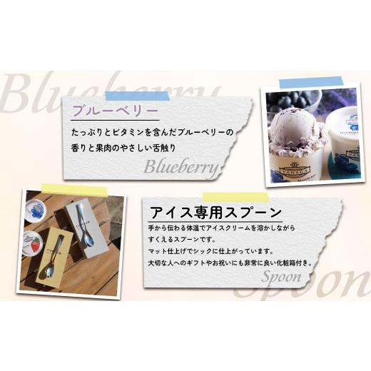 ふるさと納税 菓子 アイス 島根県 雲南市 アイスクリーム VANAGAプレミアムご当地アイス12個とアイス専用スプーン（ゴールド1本）の13点セット | アイスクリー…の画像