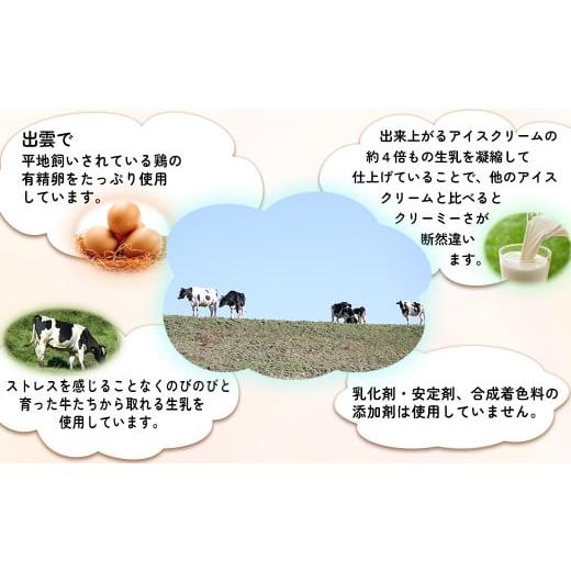 ふるさと納税 菓子 アイス 島根県 雲南市 アイスクリーム VANAGAプレミアムご当地アイス12個とアイス専用スプーン（ゴールド1本）の13点セット | アイスクリー…の画像