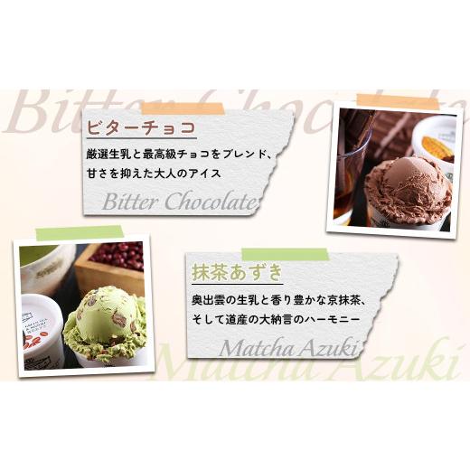 ふるさと納税 菓子 アイス 島根県 雲南市 アイスクリーム VANAGAプレミアムご当地アイス12個とアイス専用スプーン（シルバー1本）の13点セット | アイスクリー…の画像