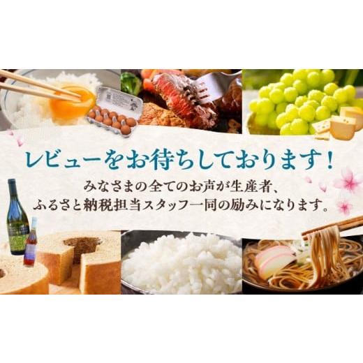 ふるさと納税 菓子 アイス 島根県 雲南市 アイスクリーム VANAGAプレミアムご当地アイス12個とアイス専用スプーン（シルバー1本）の13点セット | アイスクリー…の画像