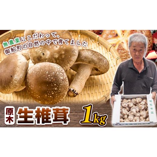 ふるさと納税 野菜類 きのこ 熊本県 御船町 先行予約 しいたけ 椎茸 生椎茸 1kg 荒木農産[11月上旬-3月中旬頃出荷]熊本 御船 原木椎茸 送料無料