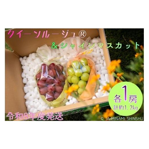 ふるさと納税 ぶどう マスカット 長野県 喬木村 8-J32 クイーンルージュ?&シャインマスカット 秀品 約1.2kg (各1房)