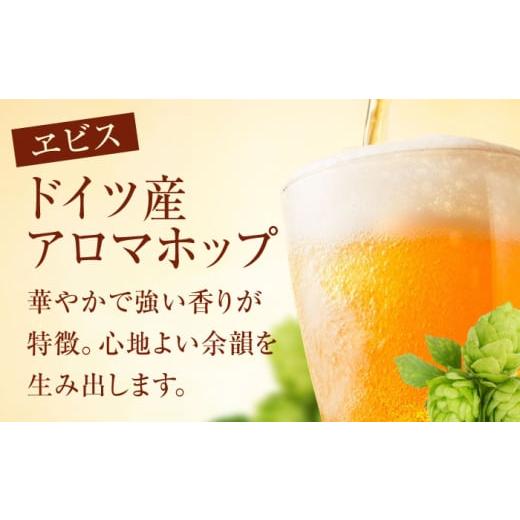 ふるさと納税 ビール 大分県 日田市  全5回定期便 サッポロ GOLD STAR 500ml×24缶 合計120缶 日田市 ／ 株式会社綾部商店 ビール サッポロ お酒 酒 日田 ARD…の画像