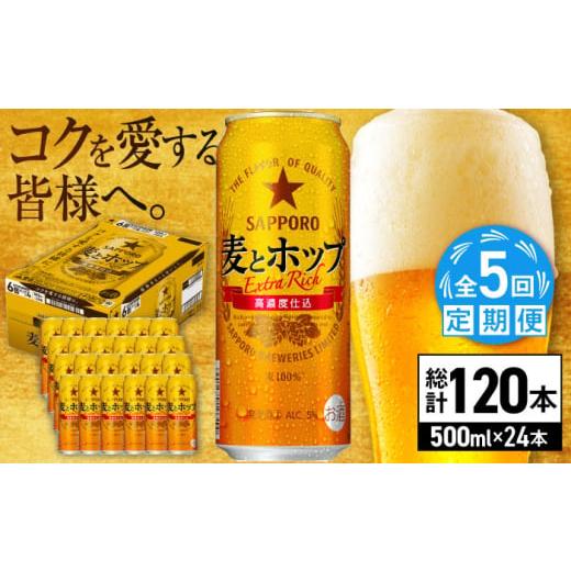 ふるさと納税 ビール 大分県 日田市  全5回定期便 サッポロ 麦とホップ 500ml×24缶 合計120缶 日田市 ／ 株式会社綾部商店 ビール サッポロ お酒 酒 日田 AR…の画像