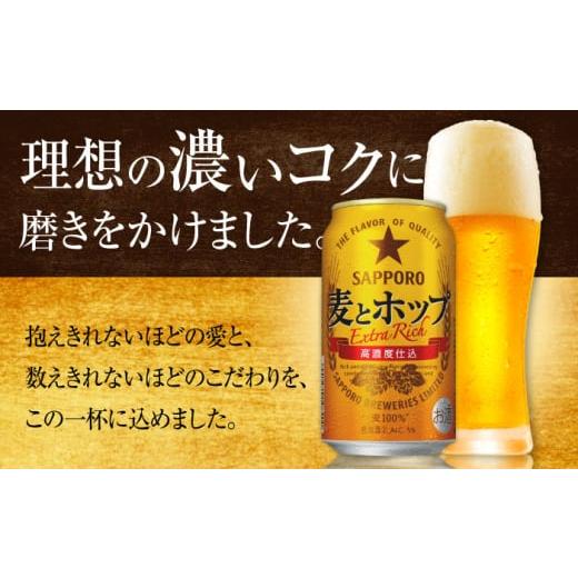 ふるさと納税 ビール 大分県 日田市  全5回定期便 サッポロ 麦とホップ 500ml×24缶 合計120缶 日田市 ／ 株式会社綾部商店 ビール サッポロ お酒 酒 日田 AR…の画像
