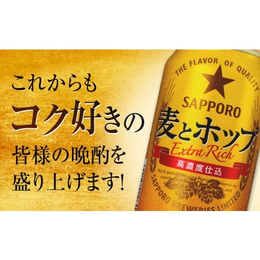 ふるさと納税 ビール 大分県 日田市  全5回定期便 サッポロ 麦とホップ 500ml×24缶 合計120缶 日田市 ／ 株式会社綾部商店 ビール サッポロ お酒 酒 日田 AR…の画像