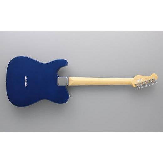 ふるさと納税 楽器 ギター・ベースギター 長野県 大町市 エレキギター