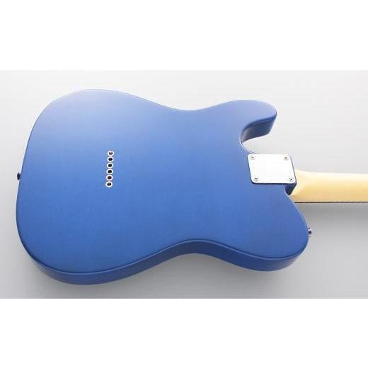 ふるさと納税 楽器 ギター・ベースギター 長野県 大町市 エレキギター