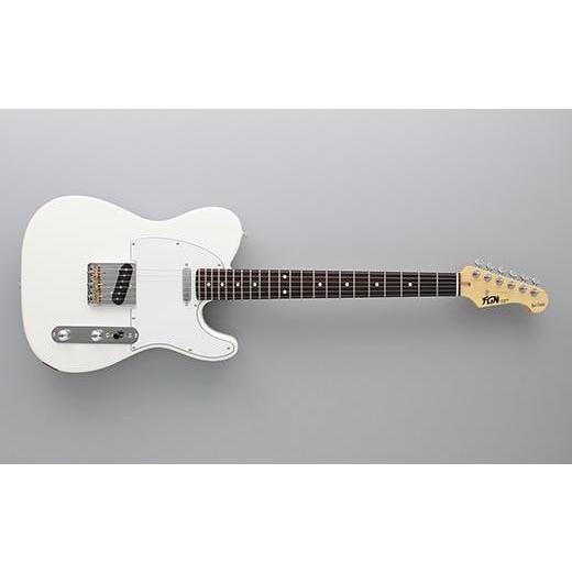 ふるさと納税 楽器 ギター・ベースギター 長野県 大町市 エレキギター