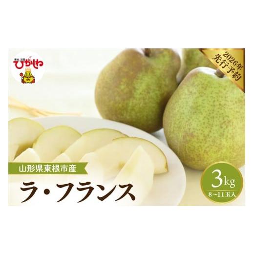 ふるさと納税 梨 山形県 東根市 2026年産先行予約 フルーツの女王「ラ・フランス」 約3kg(8〜11玉)山形県 東根市 hi026-059 ラ・フランス 約3kg(8〜11玉)
