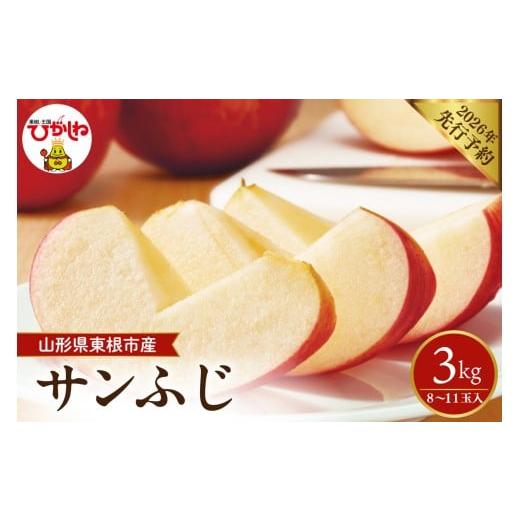 ふるさと納税 りんご 山形県 東根市 2026年産先行予約 太陽の恵みをいっぱいに浴びたりんご「サンふじ」 約3kg (8〜11玉入) 山形県 東根市 hi026-061 りんご…