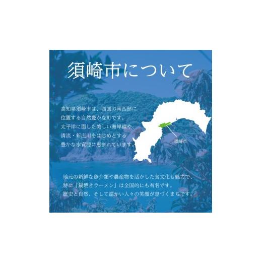 ふるさと納税 大工仕事品・竹工品 高知県 須崎市 虎竹熊手 竹生産物 室内装飾 DIY ガーデニング 飾りつけ 作物 和風 日装具 洗い濯ぎ御先棒 余暇 TT119