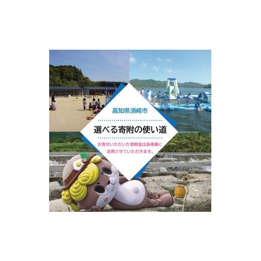 ふるさと納税 大工仕事品・竹工品 高知県 須崎市 虎竹熊手 竹生産物 室内装飾 DIY ガーデニング 飾りつけ 作物 和風 日装具 洗い濯ぎ御先棒 余暇 TT119