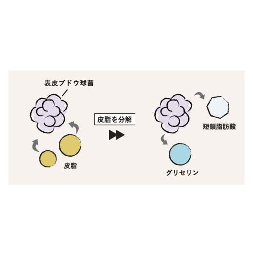 ふるさと納税 美容 群馬県 高崎市 24132 オサジ エンリッチバイオセラム（プレ美容液）2本セット_4