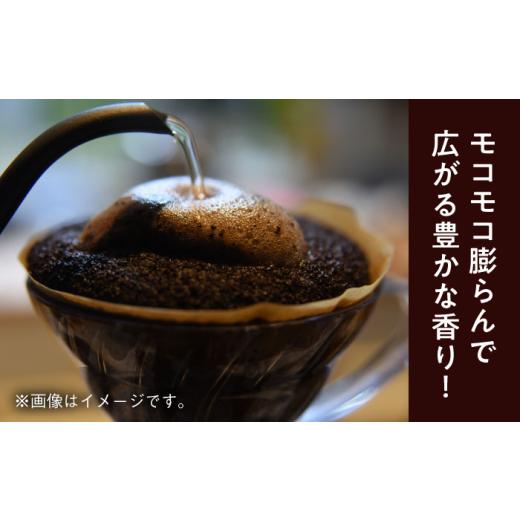 ふるさと納税 コーヒー コーヒー豆 神奈川県 葉山町  全12回定期便 コーヒー粉 中細挽き 葉山スペシャル珈琲豆アソートセット 3パック入り／ 珈琲 こーひー コ…_5