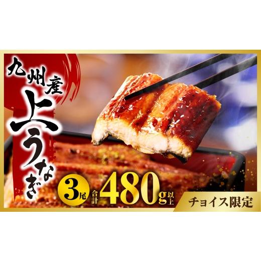 ふるさと納税 うなぎ 宮崎県 宮崎市 九州産うなぎ蒲焼3尾(計480g以上&さんしょう、たれ付き)_M040-012-ID 順次発送予定