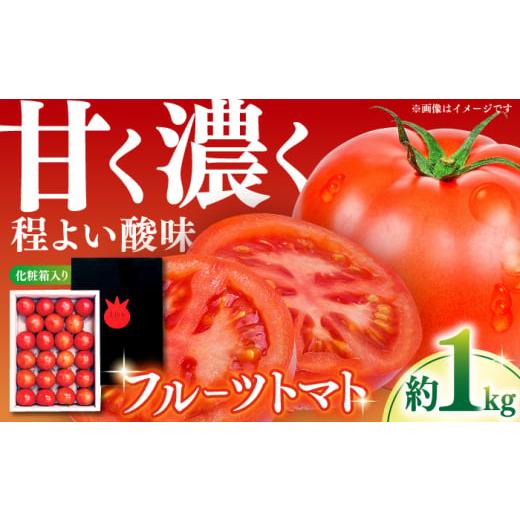 ふるさと納税 野菜類 トマト 高知県 高知市 Lisa リサフルーツトマト 約1kg [2026年1月上旬〜2026年5月末頃発送] 株式会社 堀
