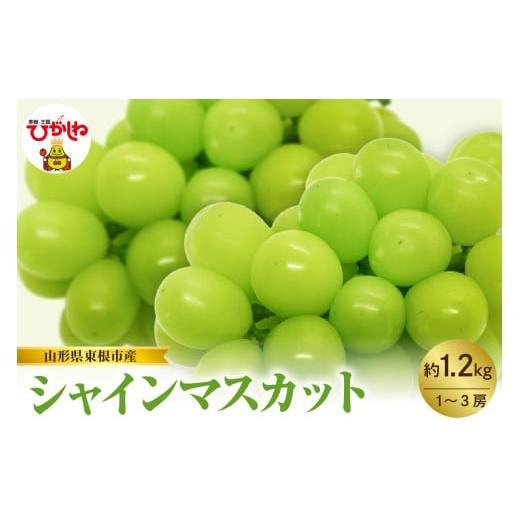 ふるさと納税 ぶどう マスカット 山形県 東根市 2026年産 先行予約 山形県東根市産 シャインマスカット 約1.2kg (1〜3房) hi074-013 約1.2kg(1〜3房…