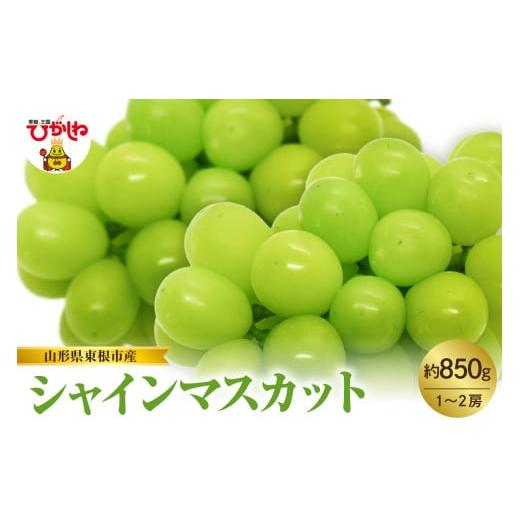 ふるさと納税 ぶどう マスカット 山形県 東根市 2026年産 先行予約 山形県東根市産 シャインマスカット 約850g (1〜2房) hi074-016 約850g(1〜2房)
