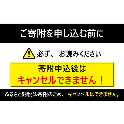 ふるさと納税 醤油 だし醤油 千葉県 銚子市 ヤマサ昆布しょうゆ 6本(1本600ml) しょうゆ 醤油 しょう油 昆布 調味料 家庭用 鮮度生活 おかず 料理 グルメ お刺…の画像