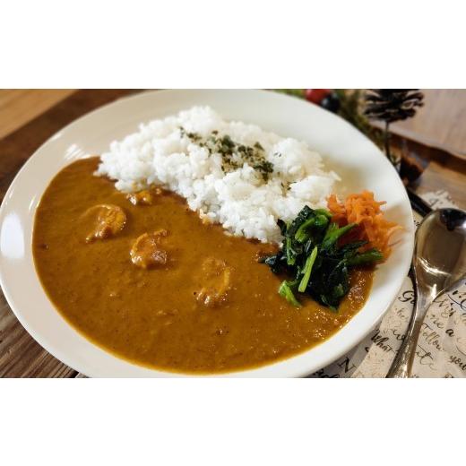 ふるさと納税 惣菜・レトルト 冷凍 高知県 黒潮町 エビカレー 海老カレー シーフードカレー 黒潮町産 天日塩 使用 5食 冷凍 カレー スパイスカレー 魚介カレー…_1