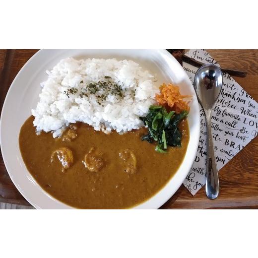 ふるさと納税 惣菜・レトルト 冷凍 高知県 黒潮町 エビカレー 海老カレー シーフードカレー 黒潮町産 天日塩 使用 5食 冷凍 カレー スパイスカレー 魚介カレー…_2