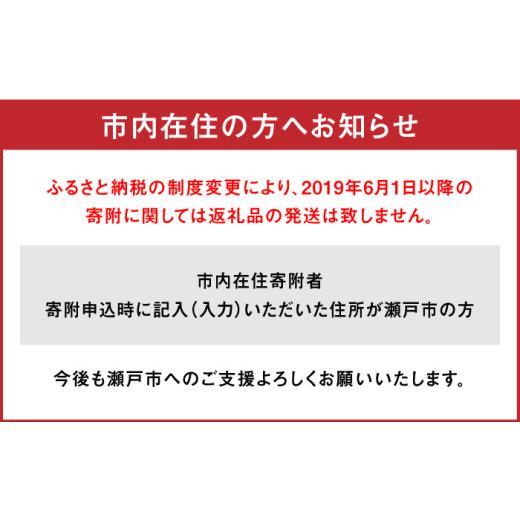ふるさと納税 家具 インテリア・寝具・収納 愛知県 瀬戸市 Nijiiro Lamp のステンドグラスのテーブルランプ サーカステント ファースト ブルー ／ ランプ オリ…_9