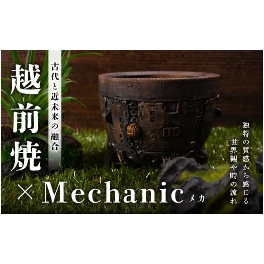 ふるさと納税 陶磁器・漆器・ガラス 福井県 越前町 1点物 越前焼 メカ