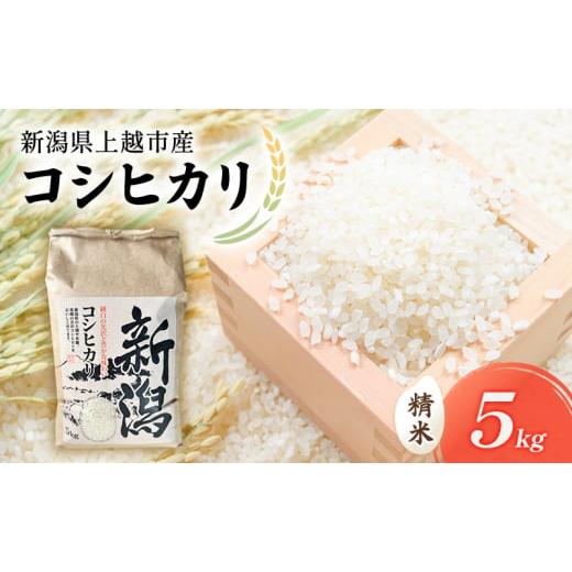 ふるさと納税 米 コシヒカリ 新潟県 上越市 新米 令和7年 新潟県上越市産 コシヒカリ(特別栽培米) 5kg 5キロ 米 こしひかり 山本農園 ご飯 精米 新潟 上越