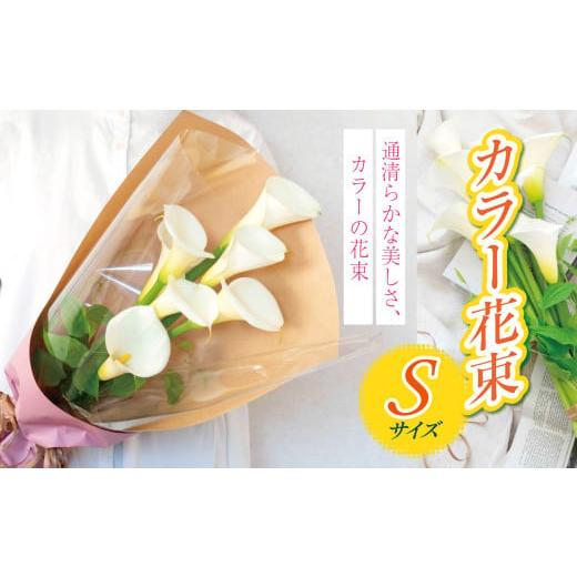 ふるさと納税 花・苗木 花束 千葉県 君津市 カラー 花束 S サイズ | 穴太商店 白い カラー シンプル 結婚式 ブーケ 贈り物 贈答 ギフト 装飾 生花 花 プレゼン…