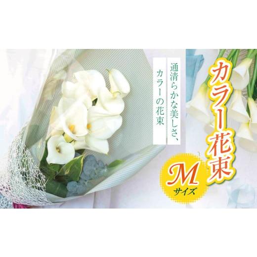 ふるさと納税 花・苗木 花束 千葉県 君津市 カラー 花束 М サイズ | 穴太商店 白い カラー シンプル 結婚式 ブーケ 装飾 贈り物 贈答 生花 ギフト プレゼン…