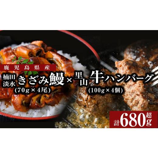 ふるさと納税 うなぎ 鹿児島県 志布志市 里山牛ハンバーグ&きざみうなぎセット (総計680g以上) うなぎ 鰻 ウナギ 蒲焼き 真空パック うな丼 鰻重 牛 牛肉 鹿…
