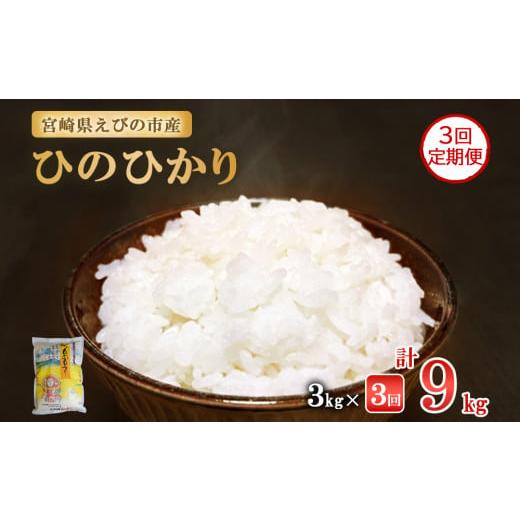 ひのひかり 10kg 新米 宮崎県えびの市 ふるさと納税 令和8年産 先行 