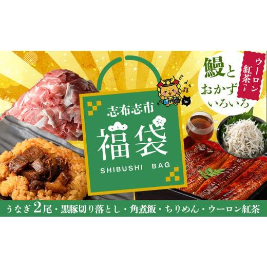 ふるさと納税 惣菜・レトルト 鹿児島県 志布志市 志布志市福袋 鰻とおかずいろいろセット(霧島湧水鰻2尾&釜揚げちりめん&黒豚ウデ切り落とし&ウーロン紅茶…