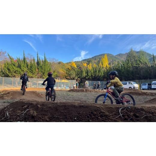 ふるさと納税 自転車 電動アシスト自転車 山梨県 市川三郷町 市川三郷町 マウンテンバイク(MTB) 山守人 共通クーポン券 9,000円分 マウンテンバイク キャン…の画像