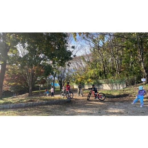 ふるさと納税 自転車 電動アシスト自転車 山梨県 市川三郷町 市川三郷町 マウンテンバイク(MTB) 山守人 共通クーポン券 9,000円分 マウンテンバイク キャン…の画像