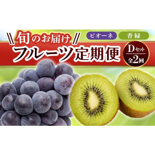 ふるさと納税 みかん・柑橘類 香川県 琴平町 フルーツ定期便 2回 [ピオーネからスタート] Dセット ピオーネ 約1.2kg 香緑 約3kg ぶどう キウイ キウイフル…