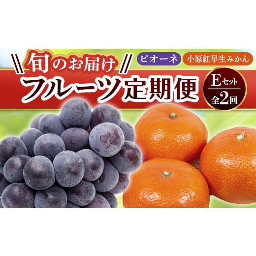 ふるさと納税 果物類 香川県 琴平町 フルーツ定期便 2回 [ピオーネからスタート] Eセット ピオーネ 約1.2kg 小原紅早生みかん 約4.5kg ぶどう みかん 旬 果…